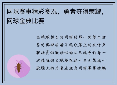 网球赛事精彩赛况，勇者夺得荣耀，网球金典比赛